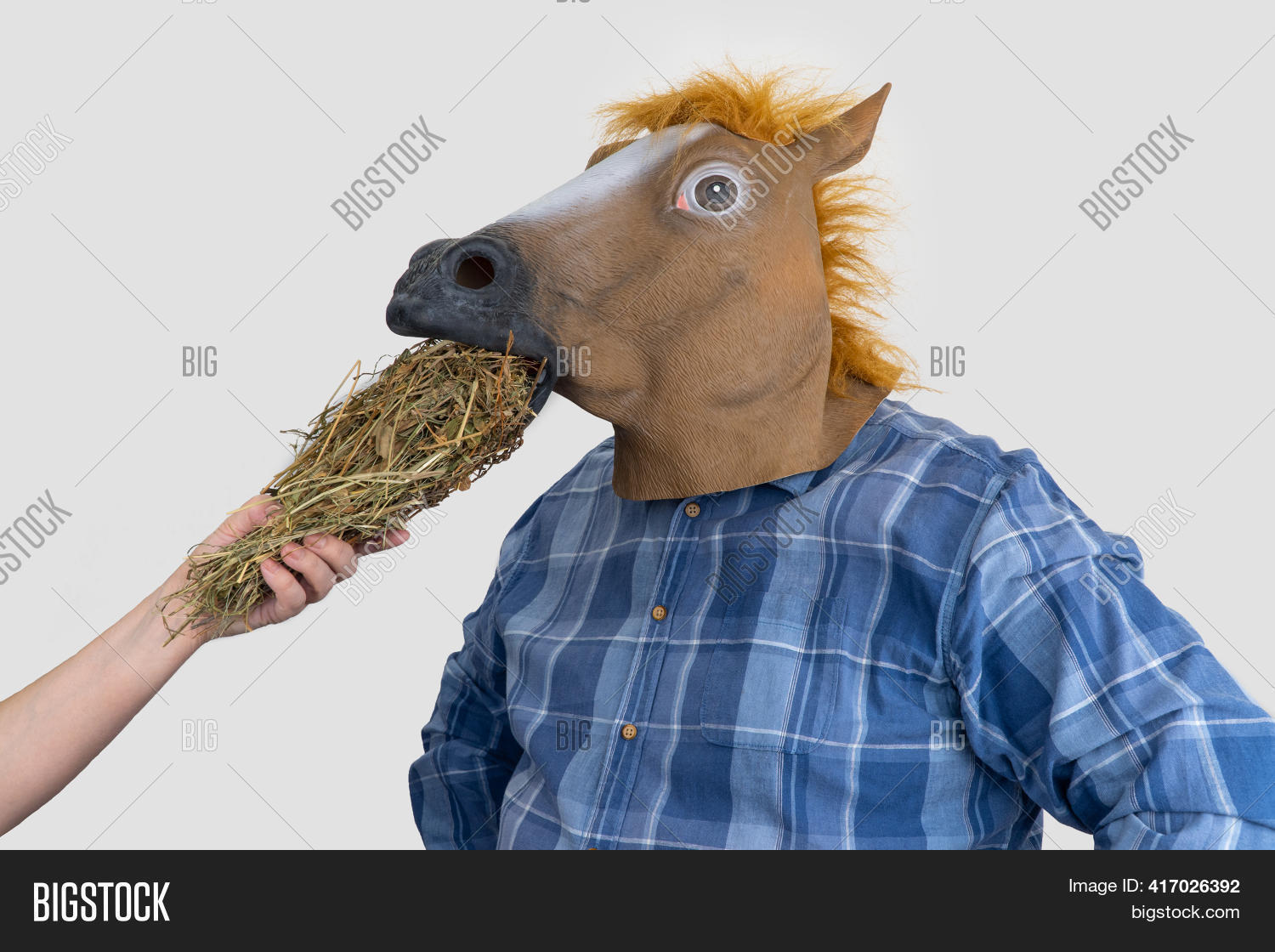 Man Horse Mask. Woman Image & Photo (Free Trial) Bigstock