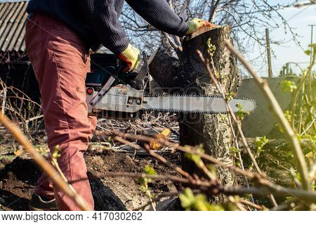 A Man Lumberjack Is Sawing A Tree With A Chainsaw. The Sawdust Is Thrown Straight Into The Screen. F