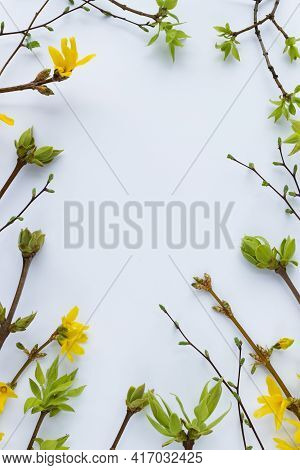 Spring Frame From Twigs With First Leaves And Flowers.