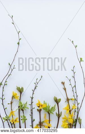 Spring Frame From Twigs With First Leaves And Flowers.