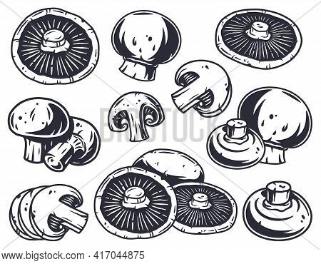 Mushroom Picking Champignon Cremini A White Button