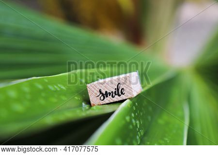 Palm Leaf With Raindrops. Woden Cube With Word Smile On Palm Leaf.