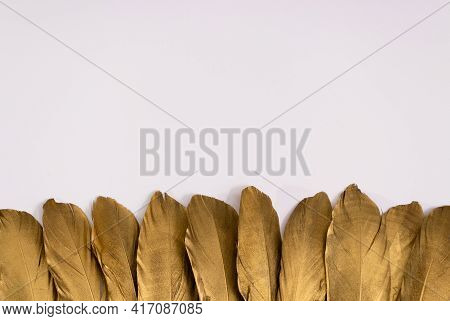 Golden Feathers On A White Background. Painted Feathers.