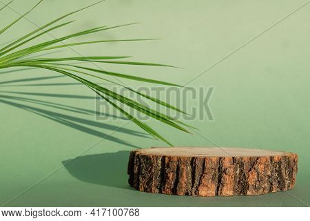 Product Presentation Podium With Green Color . A Minimalistic Scene Of A Felled Tree Lies On A Green