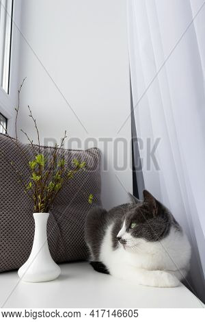 Chilling Cat And Vase With Small Spring Bouquet.