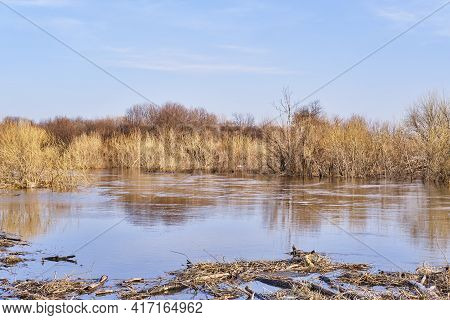 Spring Flood On The Siberian River Vagai, Russia. Beautiful Countryside Landscape. Flooded Bushes An