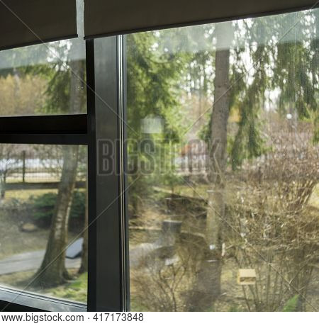 Trees Behind A Window, Indoor Sqaure Composition Shot
