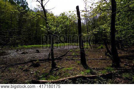 Drought Is A Significant Problem In Many Parts Of The World - Global Warming Is Causing Many Lakes, 
