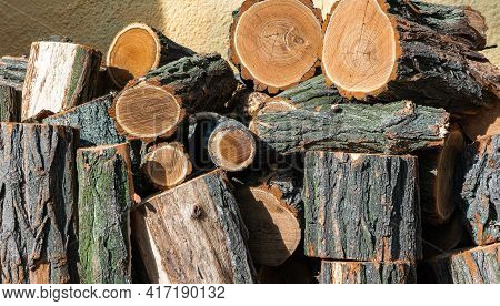 Chopped Wood Stump In The Firebox Closeup