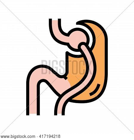 Lacing Bariatric Color Icon Vector. Lacing Bariatric Sign. Isolated Symbol Illustration