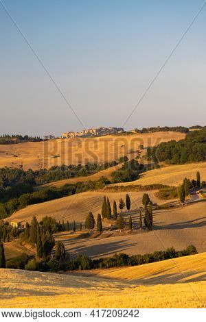Cipressi di Monticchielo, Typical Tuscan landscape near Montepulciano, Italy