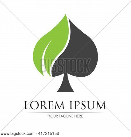 Ace Logo Vector Illustration Design Template