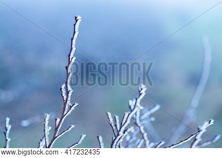 Vista De Un Invierno Nevado En El Norte De Italia 2020