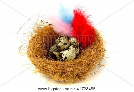 Boet med vaktelägg och färgade fjädrar