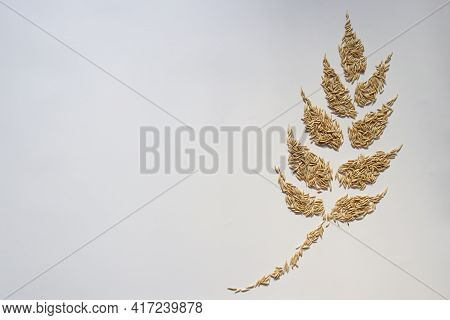 Oat Grains In A Shape Of Spikelet. Top View, Copy Space.