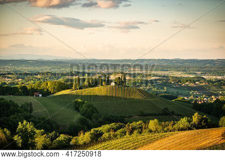 Austria Vineyards Sulztal Leibnitz Area South Styria