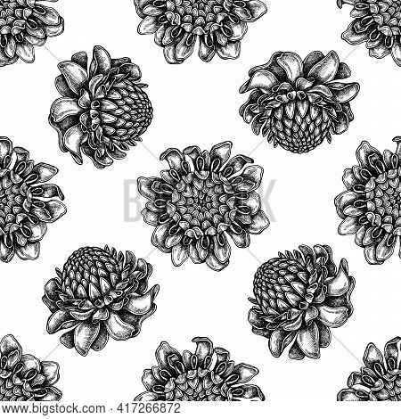 Seamless Pattern With Black And White Etlingera Stock Illustration