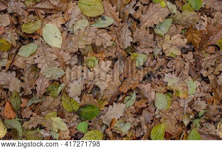 Realistic Camouflage Seamless Pattern. Hunting Camo For Cloth, Weapons Or Vechicles