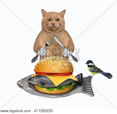 A Reddish Cat With A Knife And A Fork Eats A Big Fresh Fish Burger From A Fish Shaped Plate. White B
