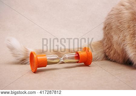A Cats Tail And An Hourglass.pulling The Cats Tail Is An Idea. Stalling, Procrastinating. Procrastin
