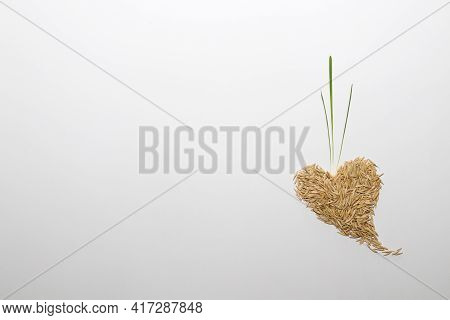Heart Made Of Oat Grains With Sprouts On A White With Copy Space.