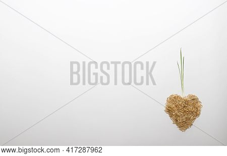 Heart From Oat Grains With Sprouts On A White With Copy Space.