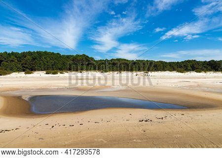 Sand, Trees And Lake With Blue Sky