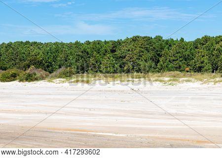 Sand And Trees With Blue Sky In Lagoa Dos Barros Lake, Osorio, Rio Grande Do Sul, Brazil