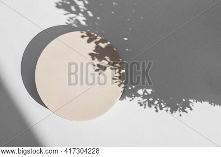 Abstract Minimal Scene With Geometrical Form. Cylinder Podium On White Background With Floral Shadow