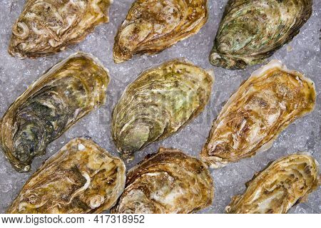 Many Species Of Oysters Are Placed On The Ice Tray. Ordered As Follows, Tsars Kaya, Normandie, Fine 