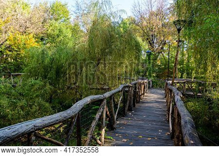 Landscape With Old Wooden Bridge, Vivid Green And Yellow Plants, Green Lime Trees And Grass In A Sun