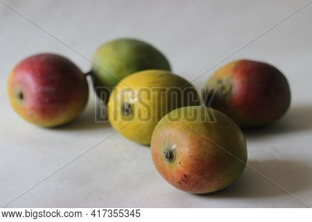 Colourful Ripe Indian Mango Called Lalbagh Mango