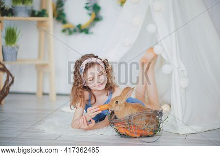 Little Cute Girl Feeds Carrots Fluffy Pet Rabbit, Care And Livin