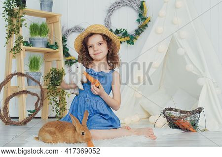 Little Cute Girl Feeds Carrots Fluffy Pet Rabbit, Care And Livin
