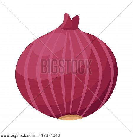 Vector Design Of Onion And Bulb Symbol. Graphic Of Onion And Fresh Stock Symbol For Web.