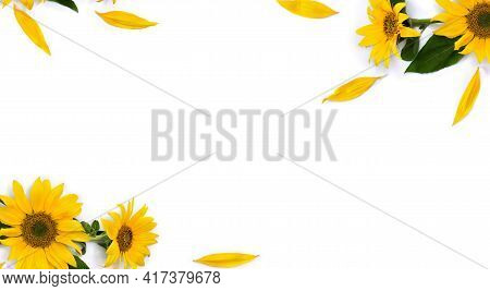 Frame Of Flowers Sunflower ( Helianthus Annuus ) With Leaves, Petals On White Background With Space 