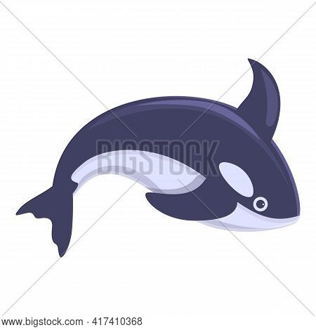 Killer Whale Animal Icon. Cartoon Of Killer Whale Animal Vector Icon For Web Design Isolated On Whit