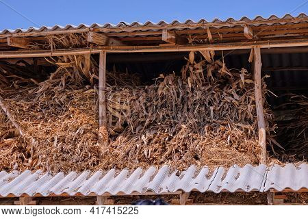 Stables In The Village. View Of The Stable, Attic With Hay For Horses