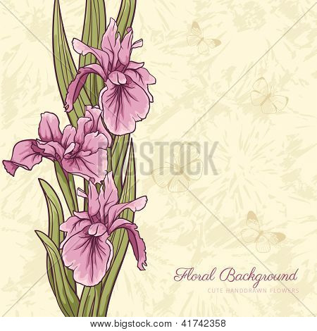 Fondo floral con iris dibujado a mano