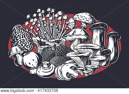 Mushroom Picking Of Morel. Vegetarian Fungus Boletus Or Cremini Collection For Food. Organic Nature 