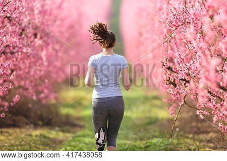 Back View Of A Runner Woman Practicing Sport Running Through A Pink Flowers Field In Spring