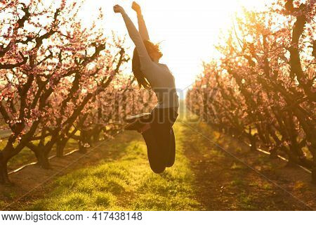 Profile Of An Excited Woman Jumping Happy In A Field At Sunrise