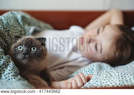 Boy Cat Images Illustrations Vectors Free Bigstock