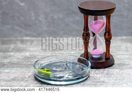 Homemade Face Mask And Scrub With Activated Carbon Powder And Yogurt On Wooden Background With Hourg