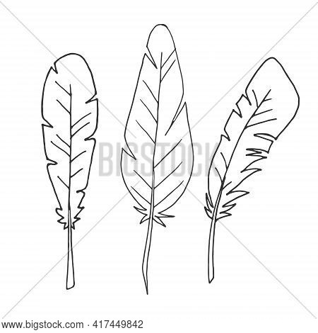 Set Of Feathers. Isolated Feathers On A White Background. Outline Illustration. Vector. Flat Illustr