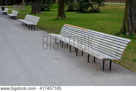 Wooden Long Park Bench With Curved Backrest Anatomical Wooden Cladding Made Of Light Wood On The Gro