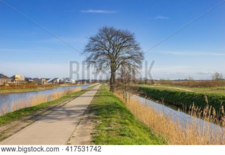Tree Along The Canal In Nature Reserve De Onlanden, Netherlands