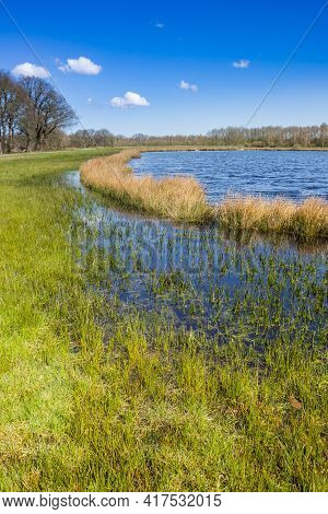 Grass And Reed  At A Small Lake In Drenthe Near Orvelte, Netherlands