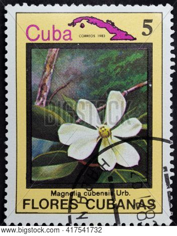 Republic Of Cuba - Circa 1983: Postage Stamp Of 'magnolia Cubensis' Printed In Republic Of Cuba. Ser