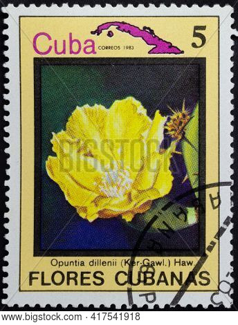 Republic Of Cuba - Circa 1983: Postage Stamp Of 'opuntia Dillenii' Printed In Republic Of Cuba. Seri